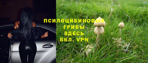 a pvp Абинск