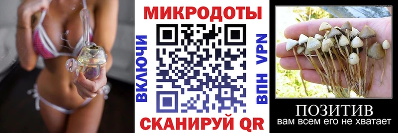 как найти   Красноперекопск  Псилоцибиновые грибы Psilocybine cubensis 